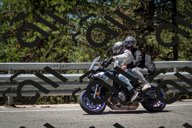 202506291238-DSC_3392_c2