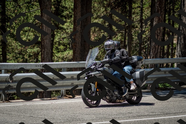 202506291238-DSC_3393_c2