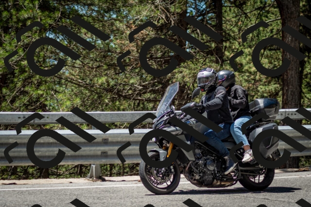 202506291238-DSC_3394_c2