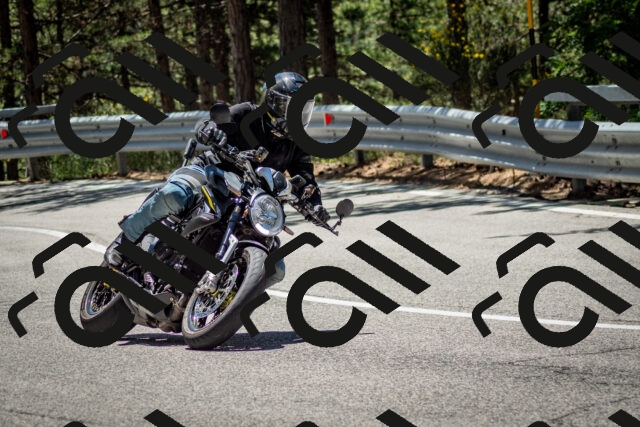 202506291238-DSC_3397_c2