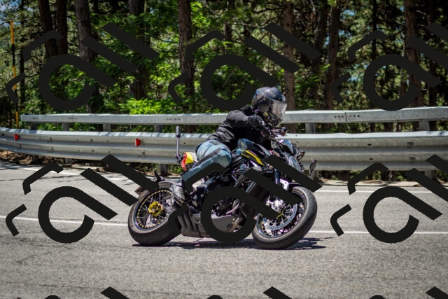 202506291238-DSC_3398_c2