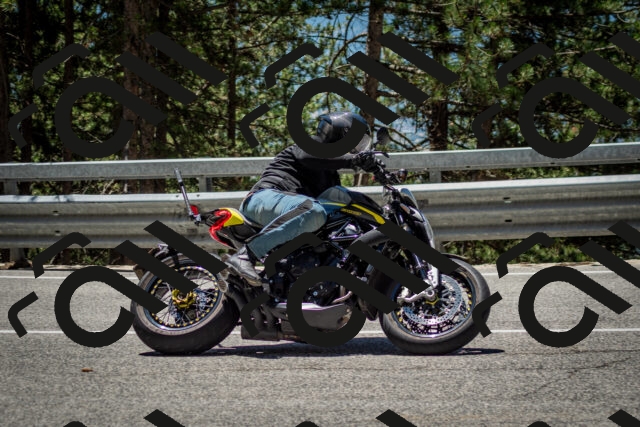 202506291238-DSC_3399_c2