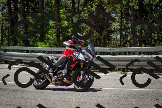 202506291238-DSC_3400_c2