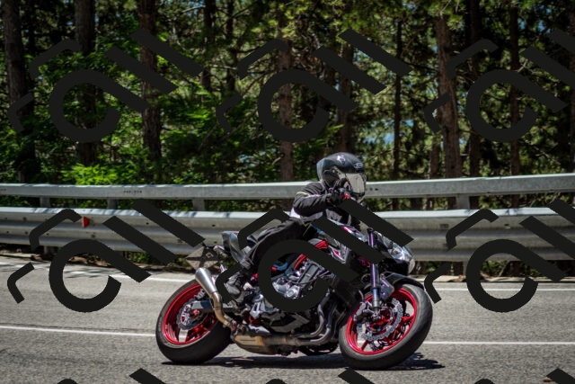 202506291238-DSC_3403_c2