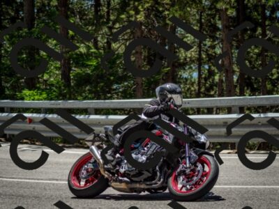 202506291238-DSC_3403_c2