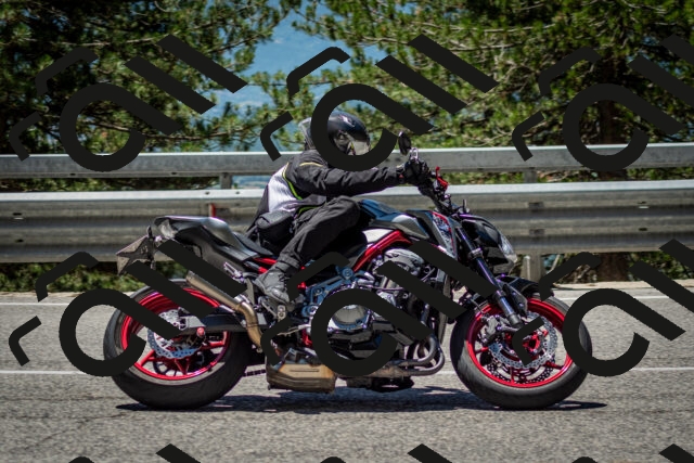 202506291238-DSC_3404_c2