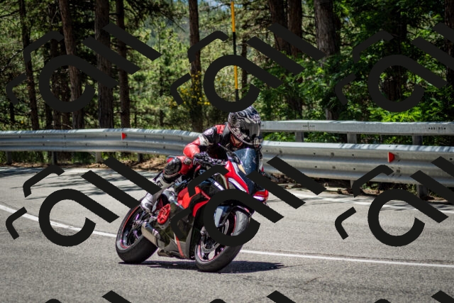 202506291238-DSC_3405_c2