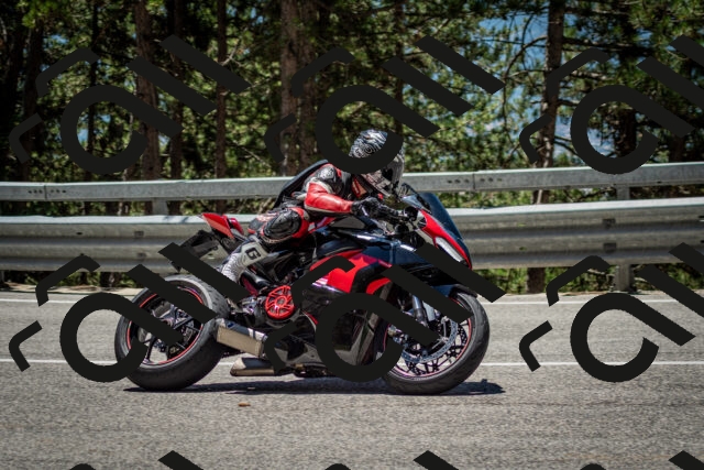 202506291238-DSC_3406_c2