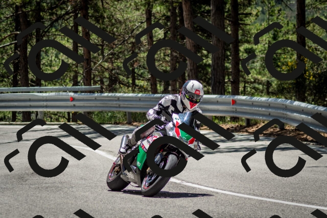 202506291239-DSC_3409_c2