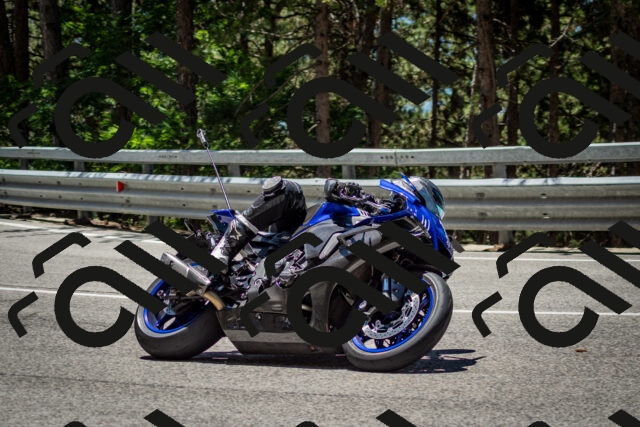 202506291239-DSC_3413_c2