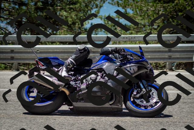 202506291239-DSC_3414_c2