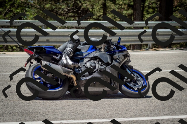 202506291239-DSC_3415_c2