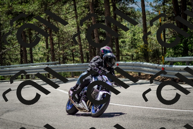 202506291239-DSC_3416_c2