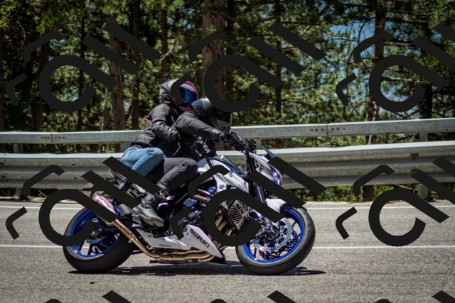 202506291239-DSC_3417_c2