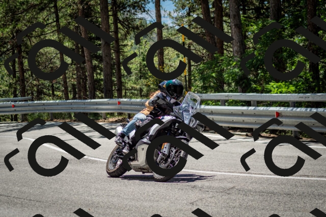 202506291239-DSC_3419_c2