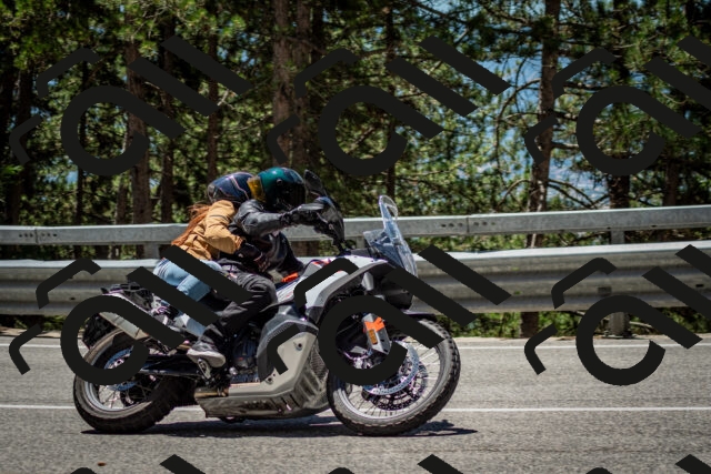 202506291239-DSC_3420_c2