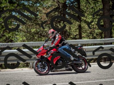 202506291239-DSC_3421_c2