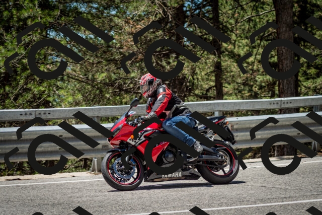 202506291239-DSC_3421_c2