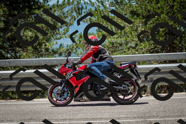 202506291239-DSC_3422_c2