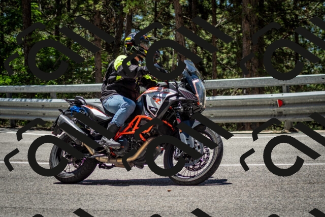 202506291239-DSC_3424_c2