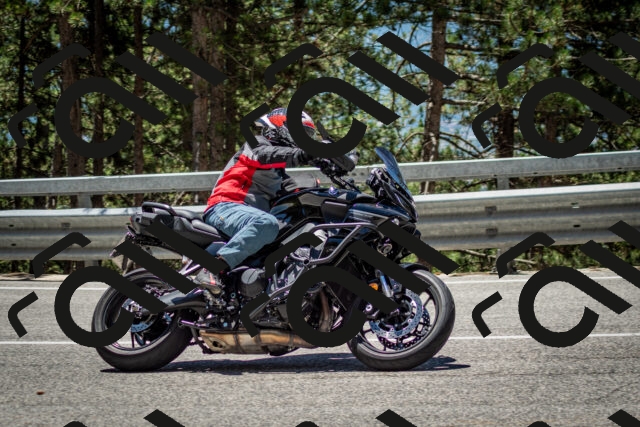 202506291239-DSC_3426_c2