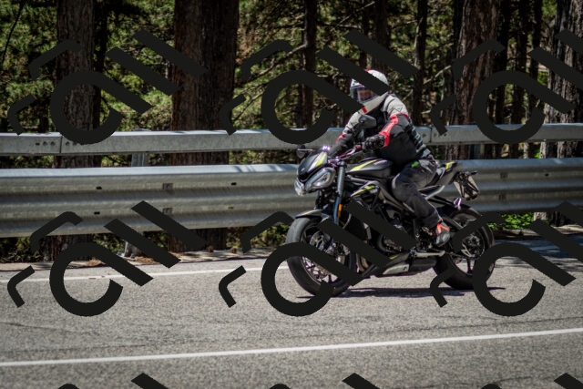 202506291241-DSC_3427_c2