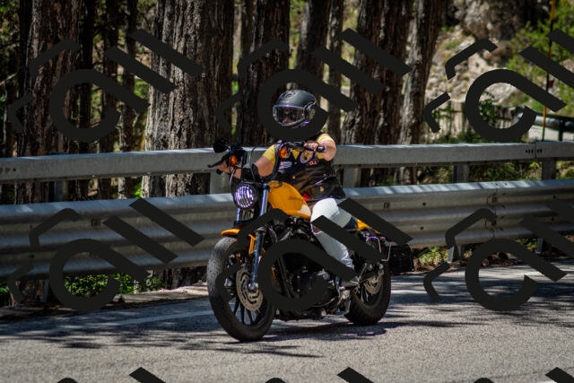 202506291242-DSC_3429_c2