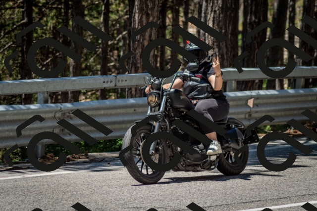 202506291242-DSC_3430_c2