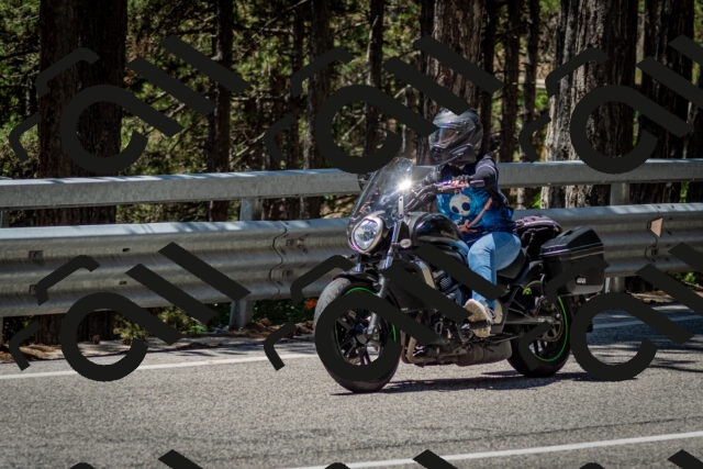 202506291242-DSC_3432_c2