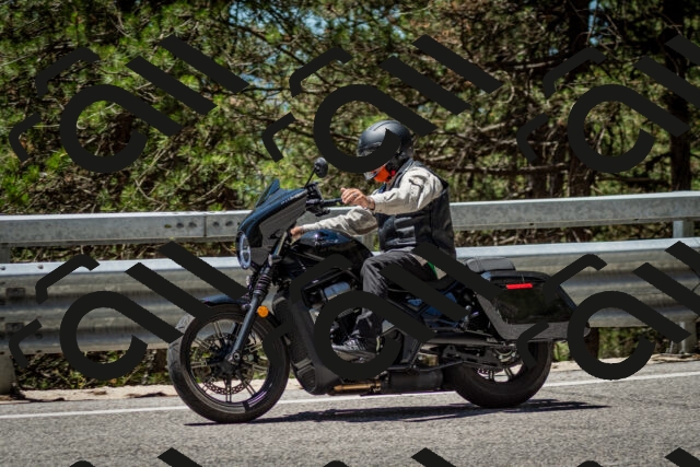 202506291242-DSC_3438_c2