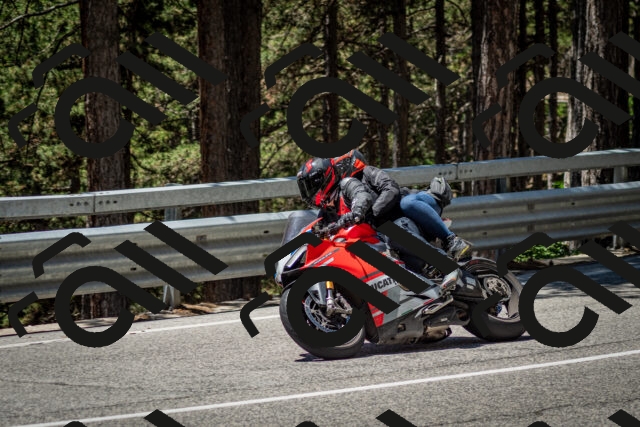 202506291243-DSC_3440_c2