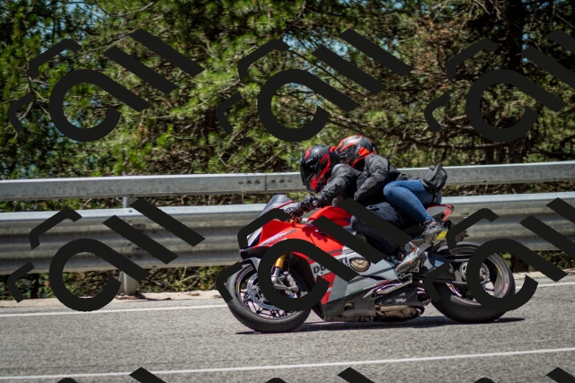 202506291243-DSC_3441_c2