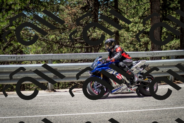 202506291243-DSC_3443_c2