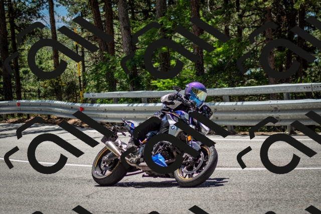 202506291243-DSC_3447_c2