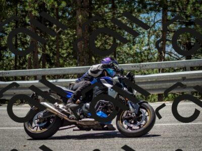 202506291243-DSC_3448_c2