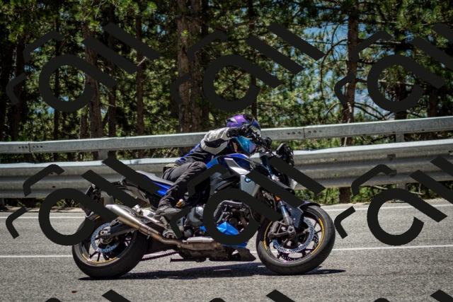 202506291243-DSC_3448_c2