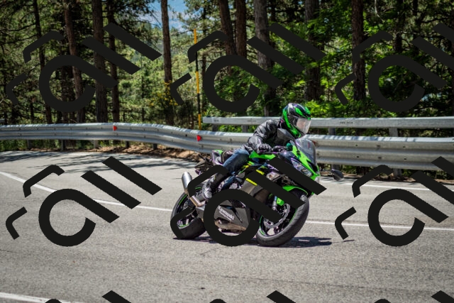 202506291243-DSC_3449_c2