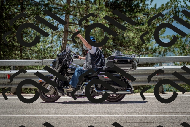 202506291244-DSC_3452_c2