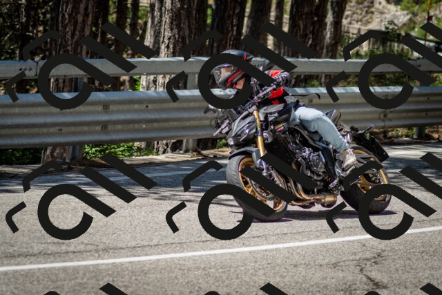 202506291247-DSC_3460_c2