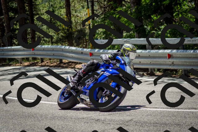 202506291247-DSC_3462_c2