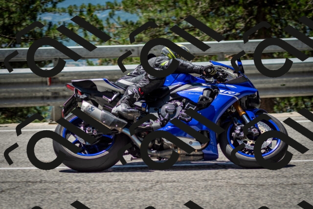 202506291247-DSC_3463_c2