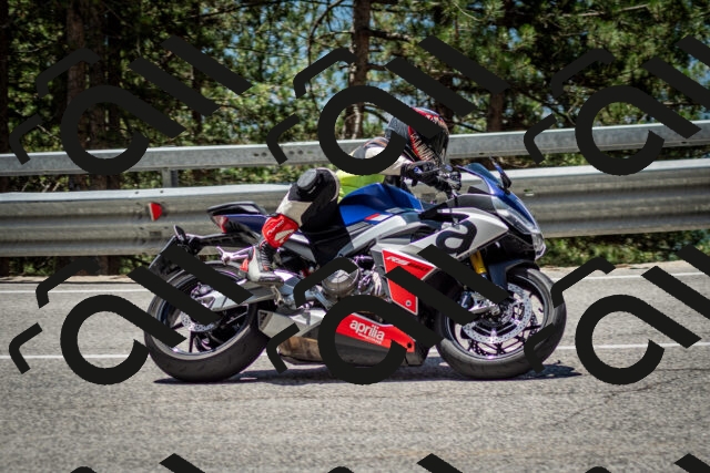 202506291247-DSC_3467_c2