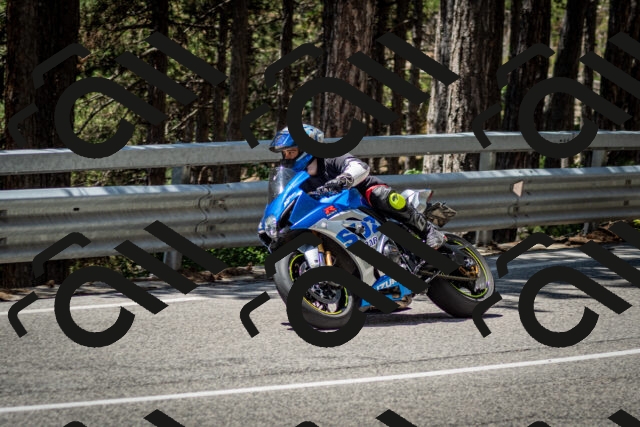 202506291247-DSC_3468_c2