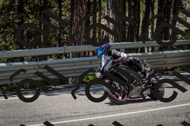 202506291248-DSC_3470_c2