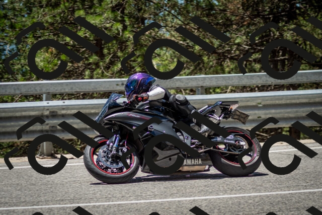 202506291248-DSC_3471_c2