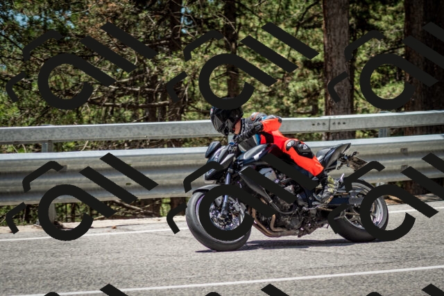 202506291248-DSC_3472_c2