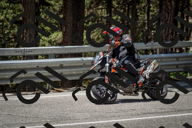 202506291248-DSC_3474_c2