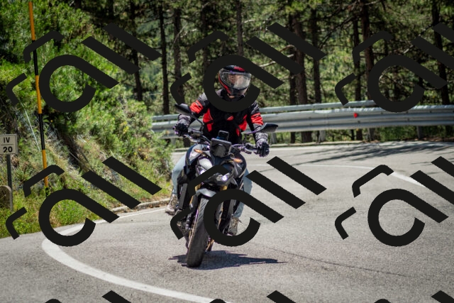 202506291248-DSC_3477_c2