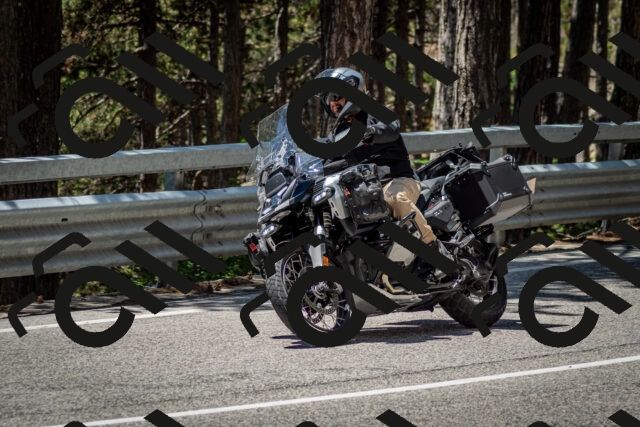 202506291249-DSC_3478_c2