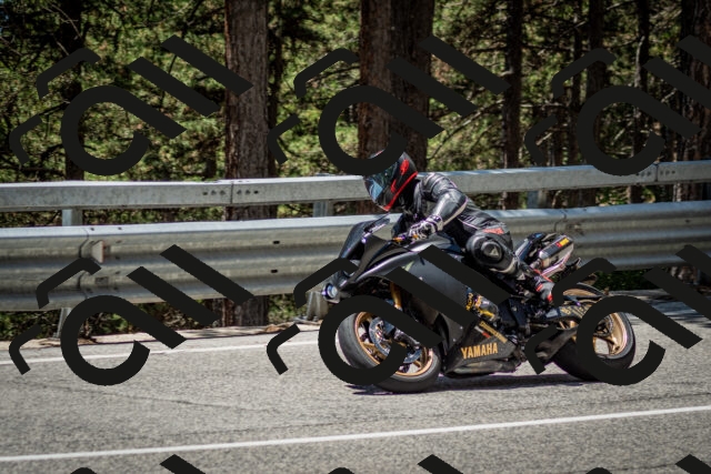 202506291249-DSC_3481_c2